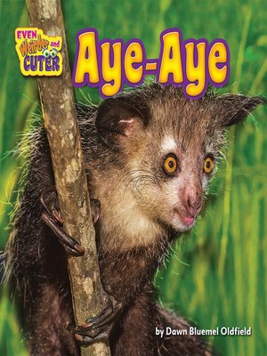 cover image of Aye-Aye